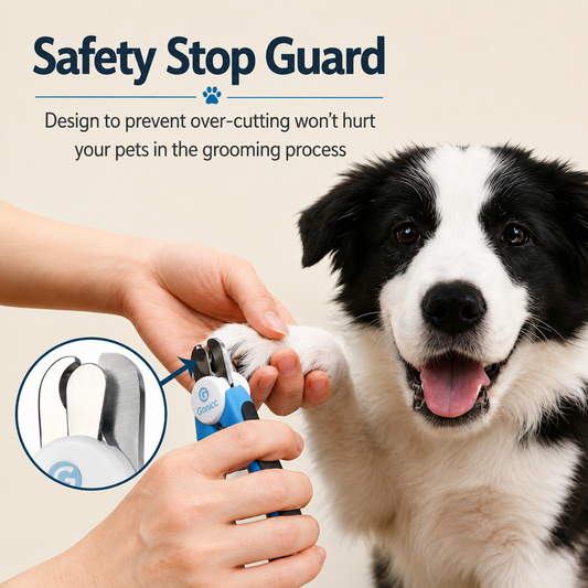 Nail Clippers for Dog