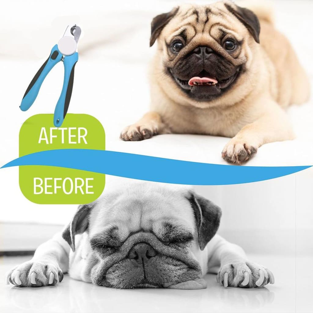 Nail Clippers for Dog
