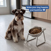 Galion™ Orthopedic Feeding Bowl