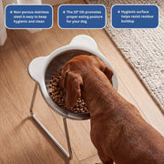 Galion™ Orthopedic Feeding Bowl